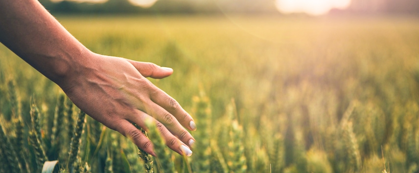 Linde and Heidelberg Materials Announce Large-Scale Carbon Capture ...