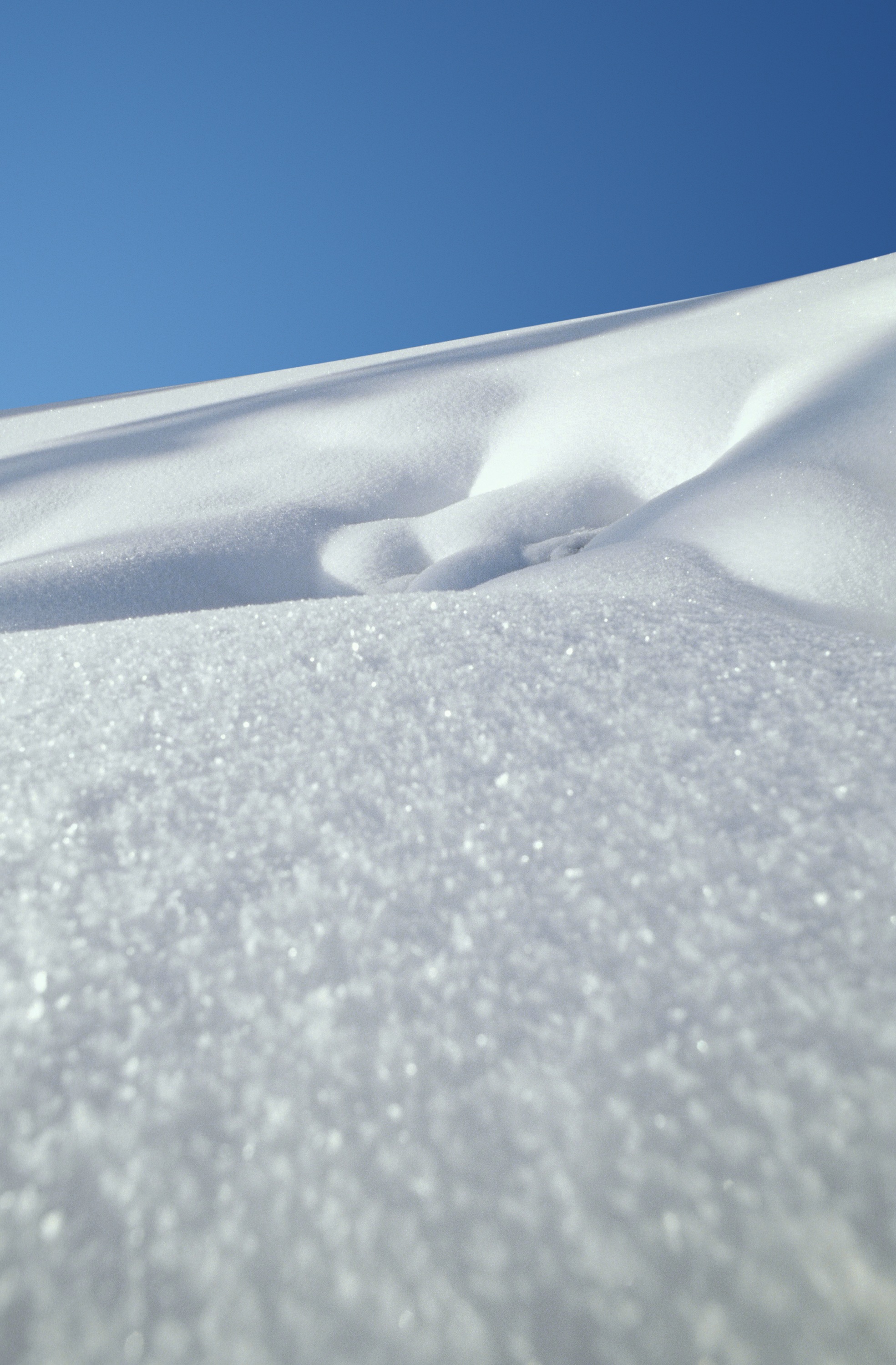 Pretreatment & Finishing