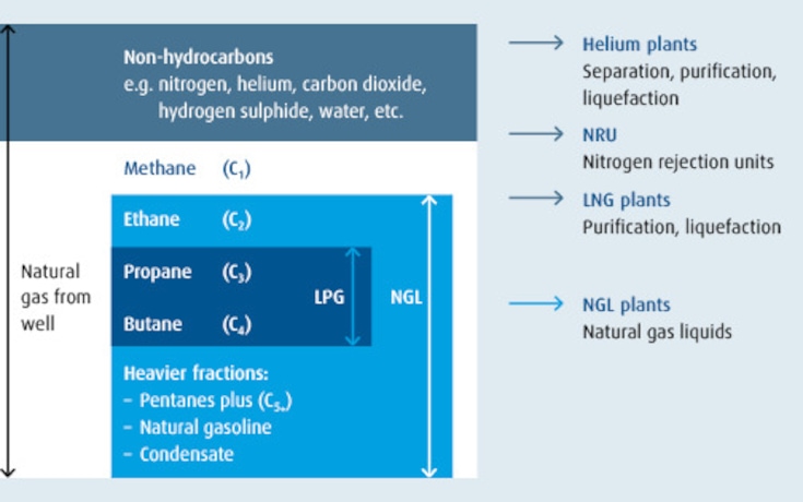 Typical components of NG and related processing plants