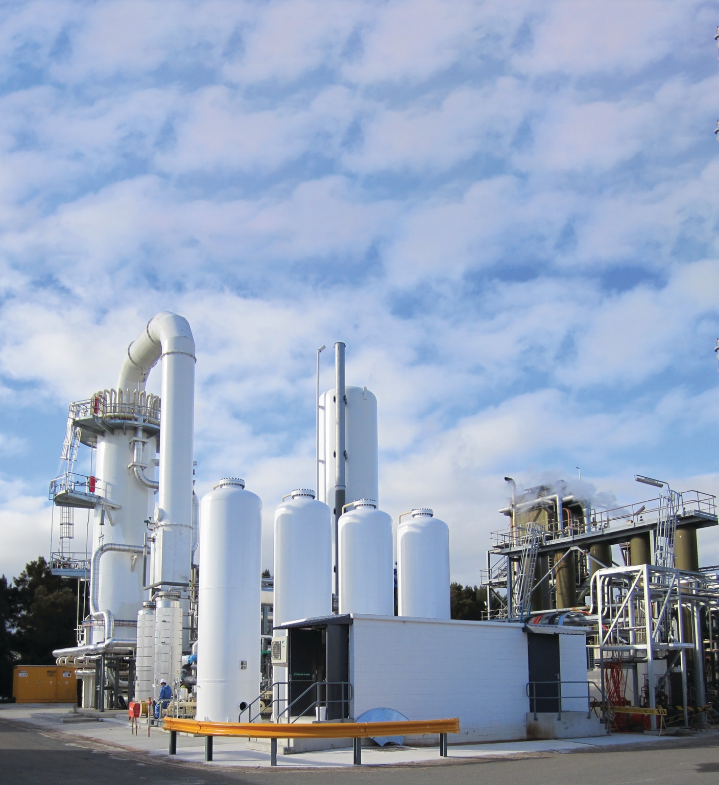 HYDROPRIME Mid 6 plant