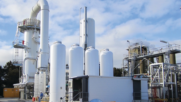 HYDROPRIME Mid 6 plant