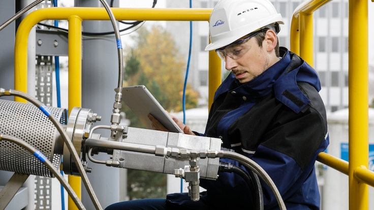 Man working on a plant