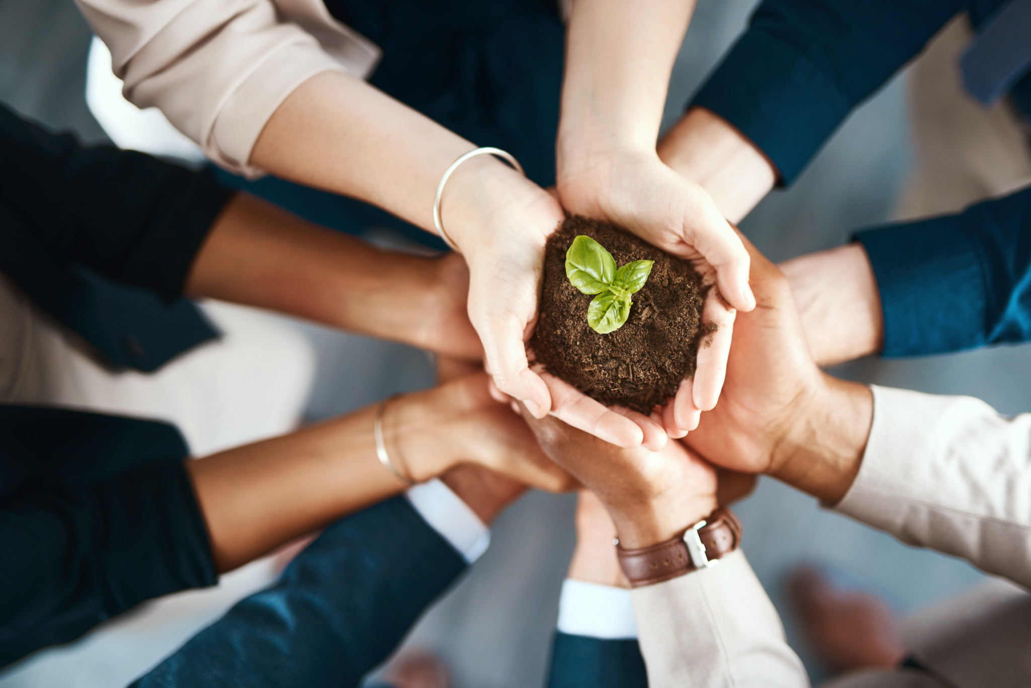 LE India’s CSR focusses on Education and environment.