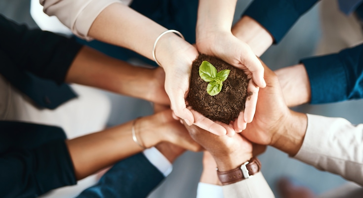 LE India’s CSR focusses on Education and environment.