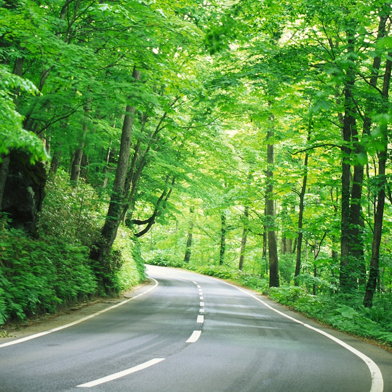 Our commitment to sustainability