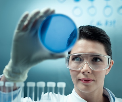 Researcher checking bacterial growth in petri dish