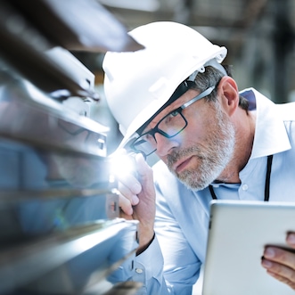 Engineer inspecting plant element