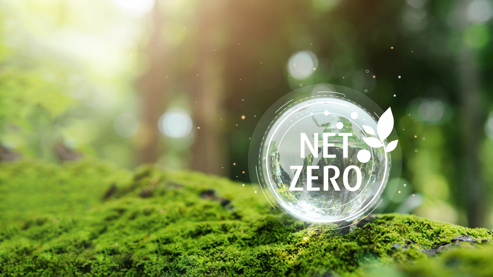 Path to Net Zero