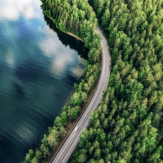 Road between green forest and blue lake