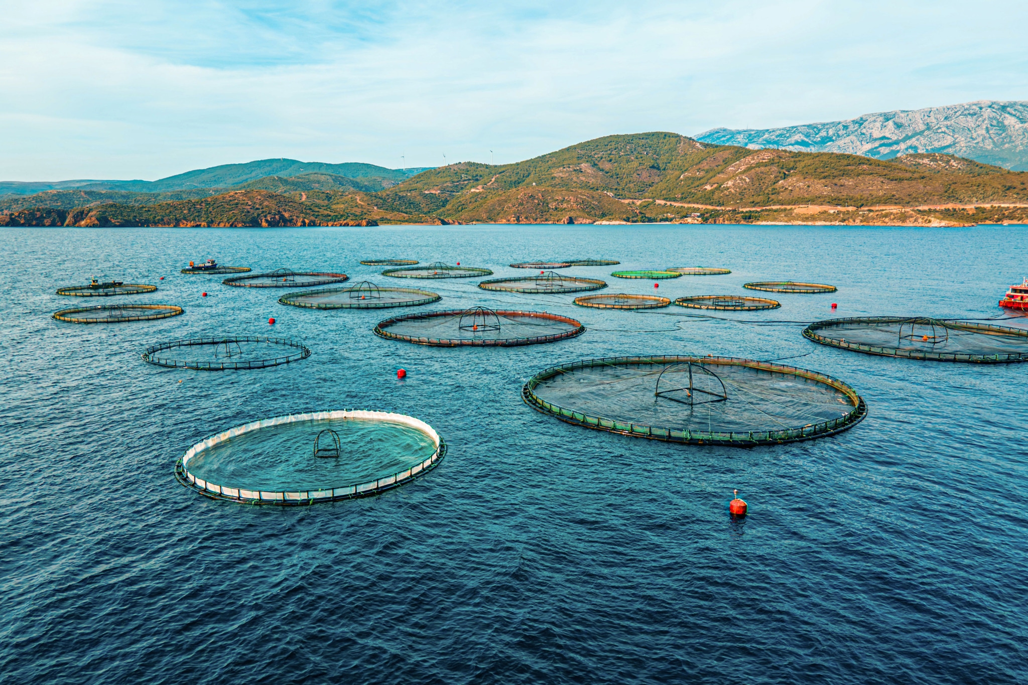 Aquaculture