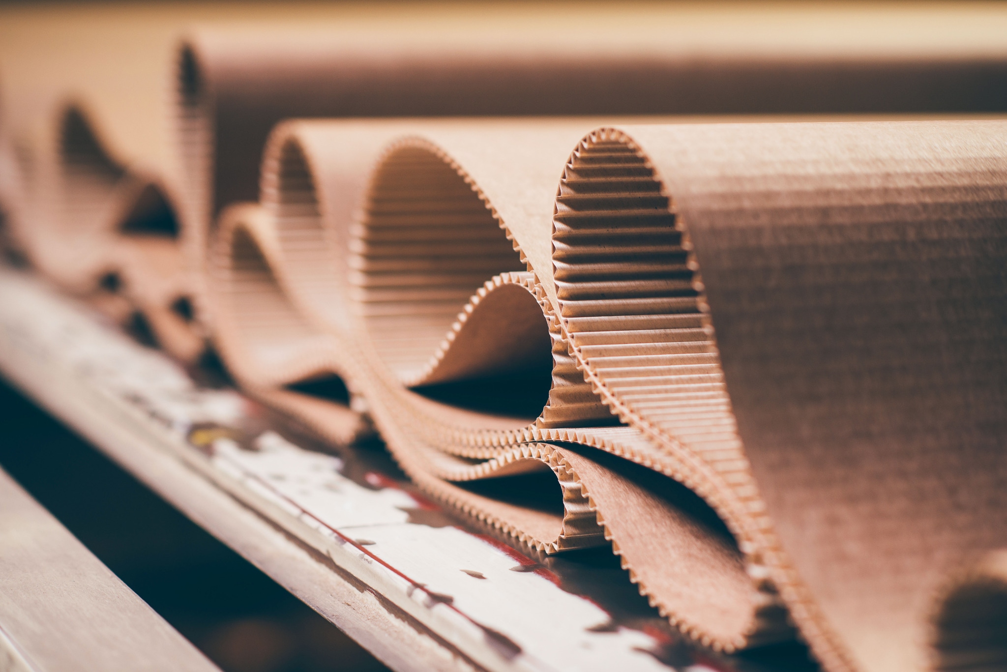 Pulp & Paper Processing