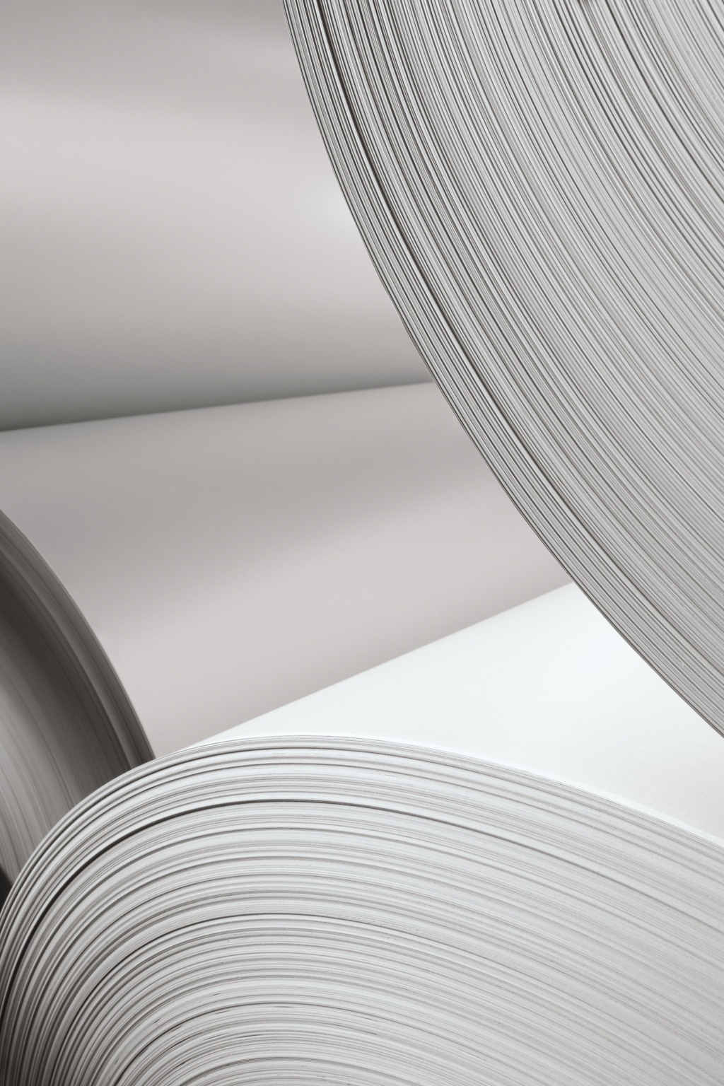 Rolls of paper close up