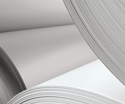Rolls of paper close up