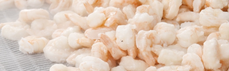 Frozen shelled shrimp exiting cryogenic freezer