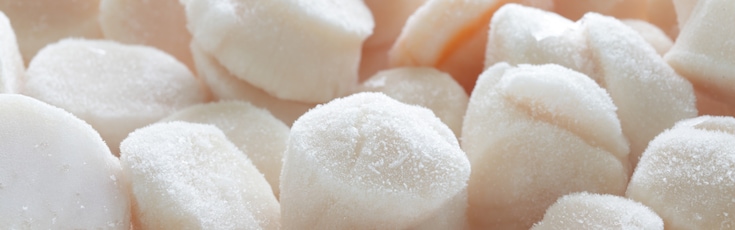 Scallops chilled with cryogenic gas