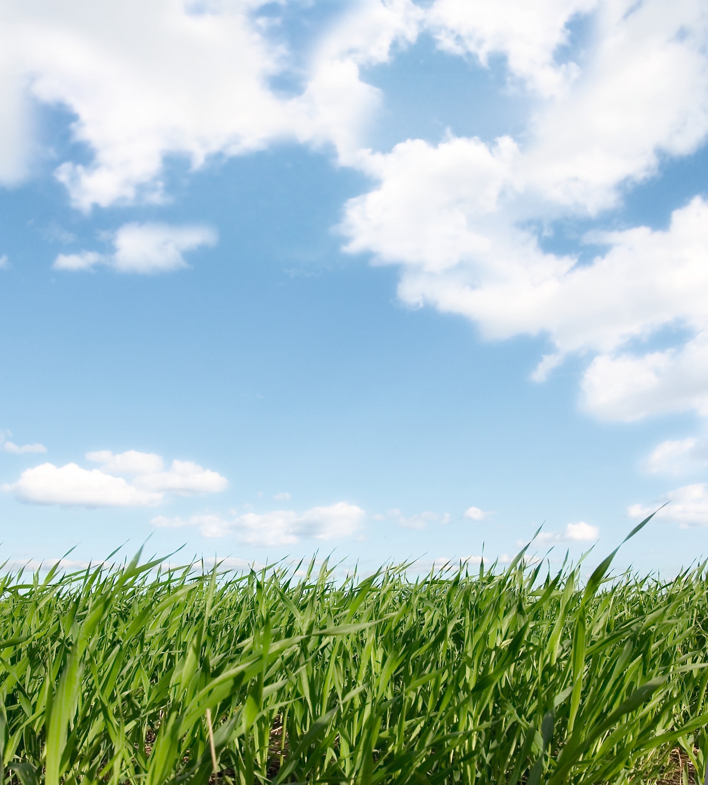 Sustainable Development pic