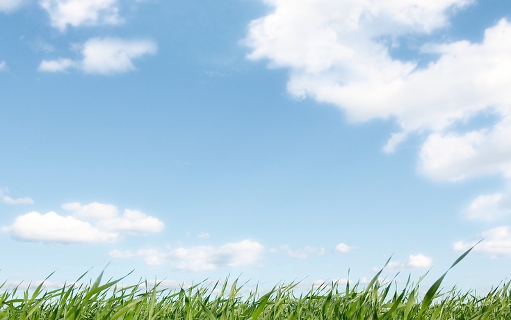 Sustainable Development pic