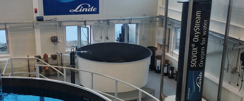 R744 natural refrigerant for automotive | Linde