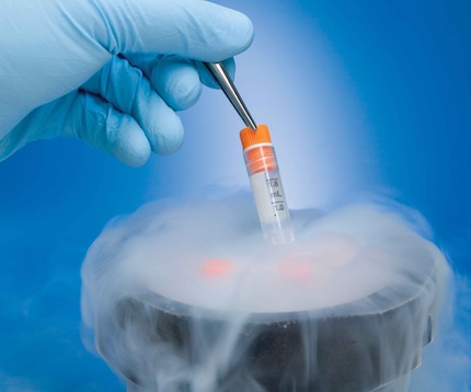 Frozen chemical sample in stoppered test tube