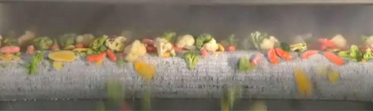 IQF vegetable ix exiting a freezer