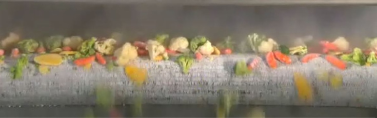 IQF vegetable ix exiting a freezer